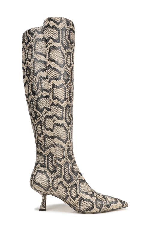 Sam Edelman Taylin Knee High Boot In Gray