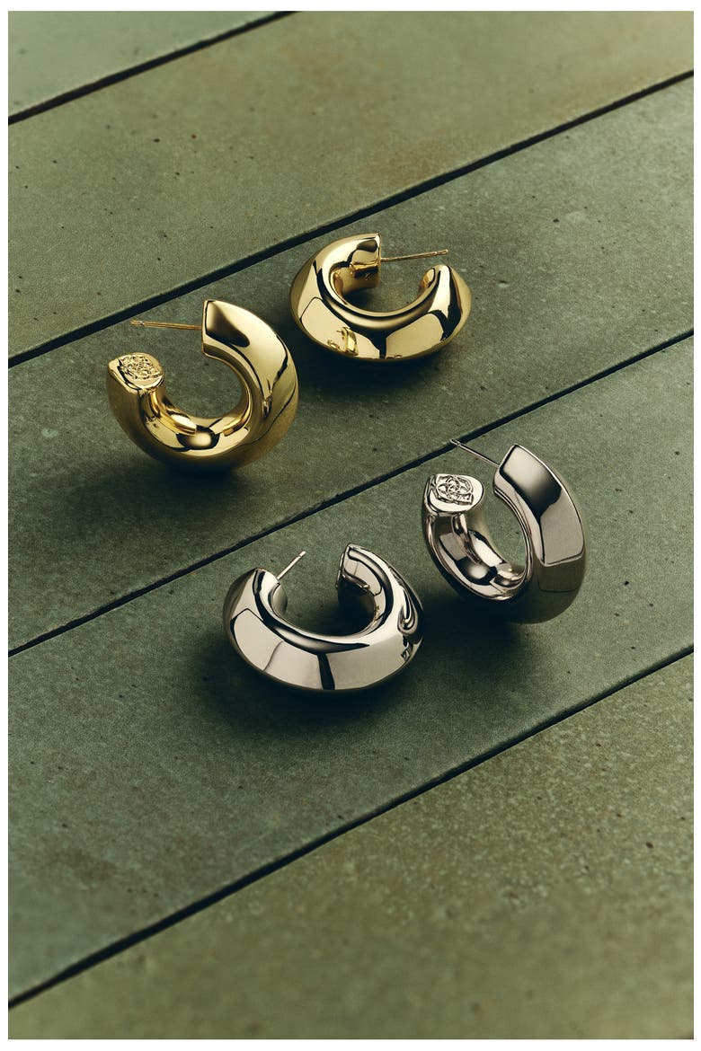 Embry Hoop Earrings, Alternate, color, VINTAGE GOLD