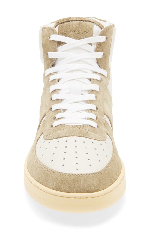 Collegium Pillar Destroyer High Top Sneaker In Green