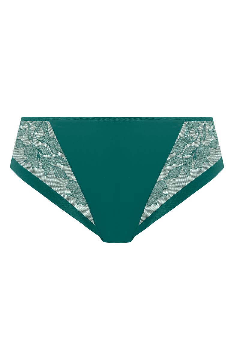 Fantasie Illusion Full Figure Mesh Briefs, Alternate, color, 