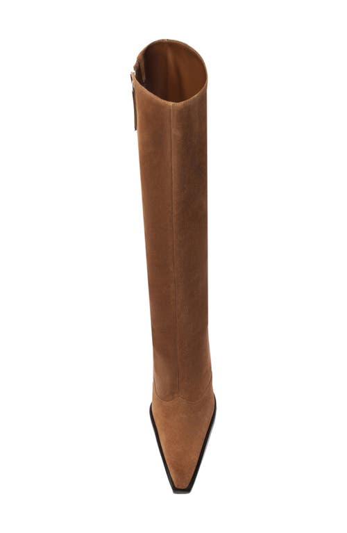Schutz Raffaela Up Block Pointed Toe Knee High Boot In Brown