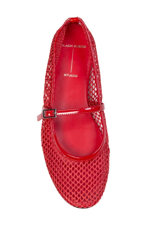 Black Suede Studio Mika Net Mary Jane Ballerina Flats In Cherry Mesh