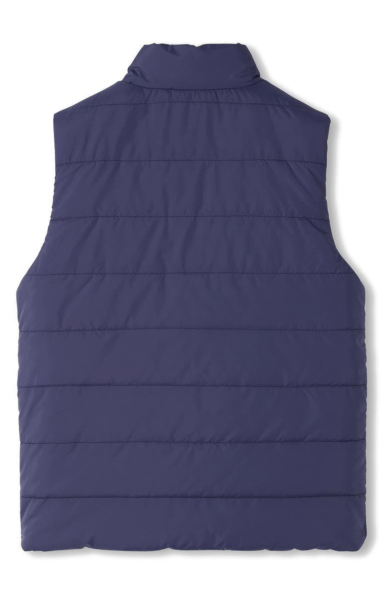 Hatley Kids' Dino Fossils Quilted Reversible Vest, Alternate, color, 