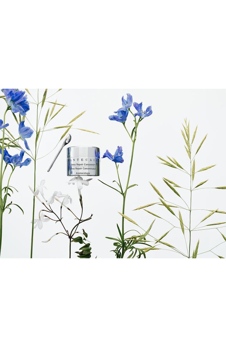 Chantecaille Stress Repair Concentrate+ Eye Cream, Alternate, color,