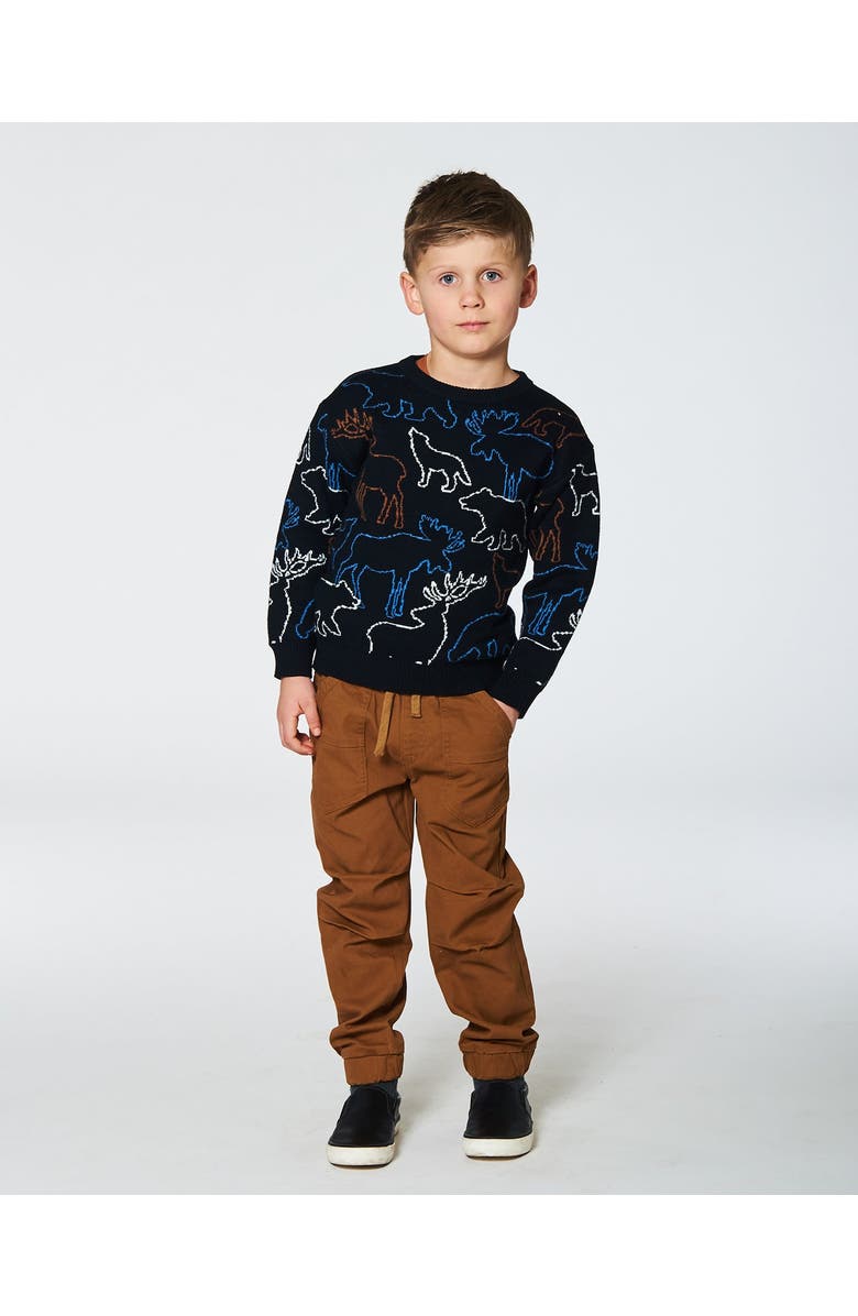 Deux par Deux Boy's Sweater With Intarsia Animal Forest Black, Alternate, color,