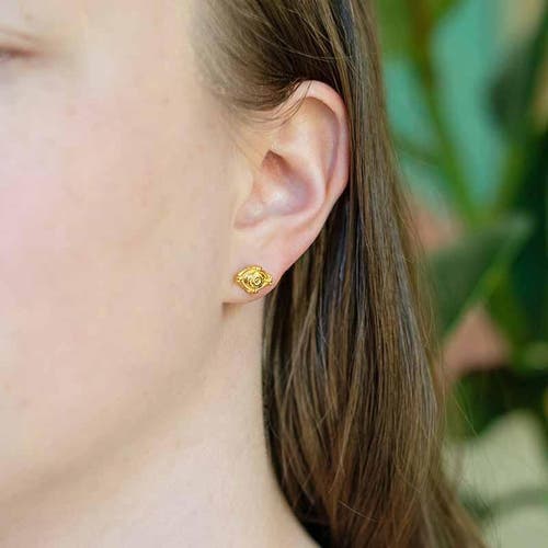 Astor & Orion Women's Eye Studs Gold In Gold