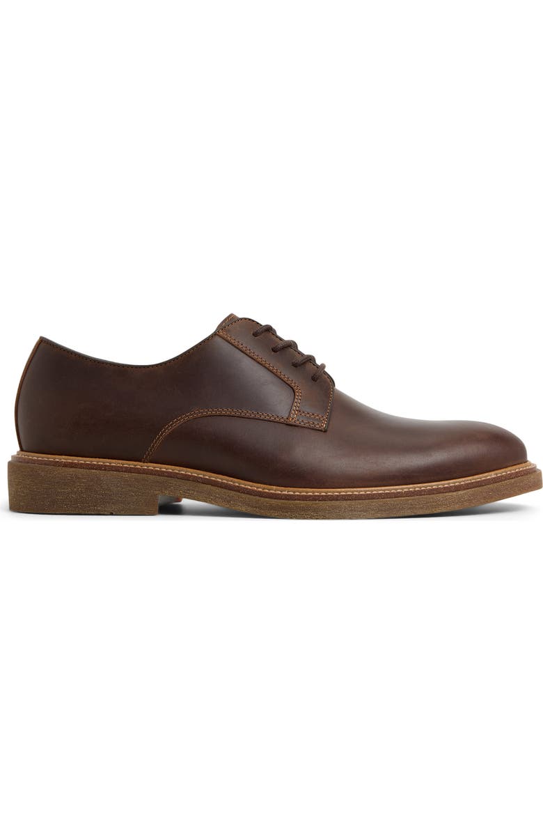 ALDO Raiden Derby, Alternate, color, Brown