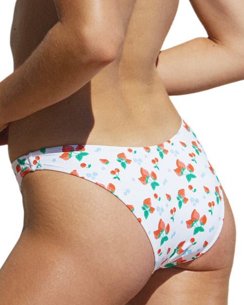 Bright Swimwear Lola Bottom In Berry Bliss