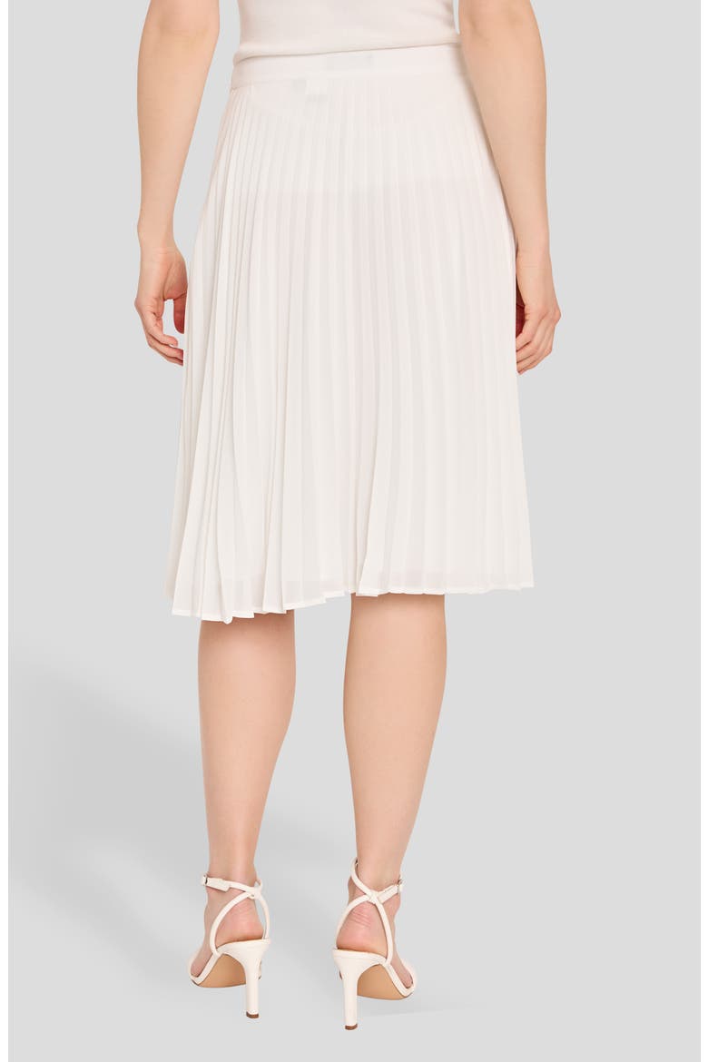 Pleated Chiffon Skirt, Alternate, color, IVORY