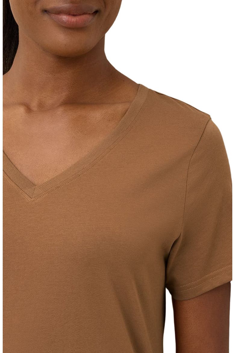Organic Cotton Softspun V-Neck Tee, Alternate, color, Brown Sugar