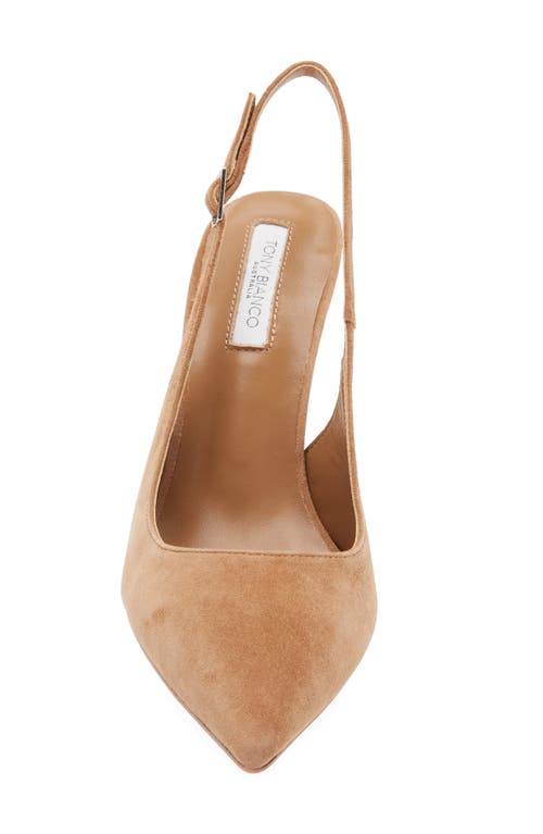 Tony Bianco Asti Slingback Pointed Toe Pump In Brown