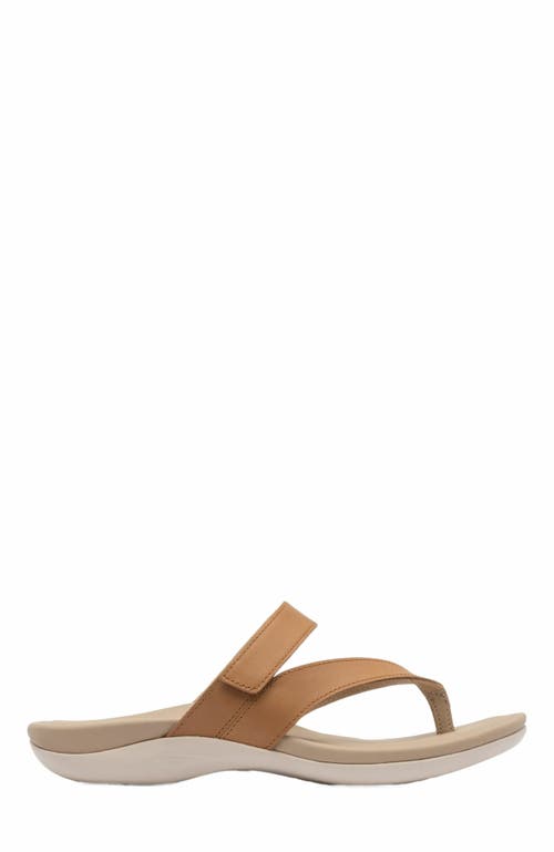 ABEO ABEO OASIS THONG SANDAL 
