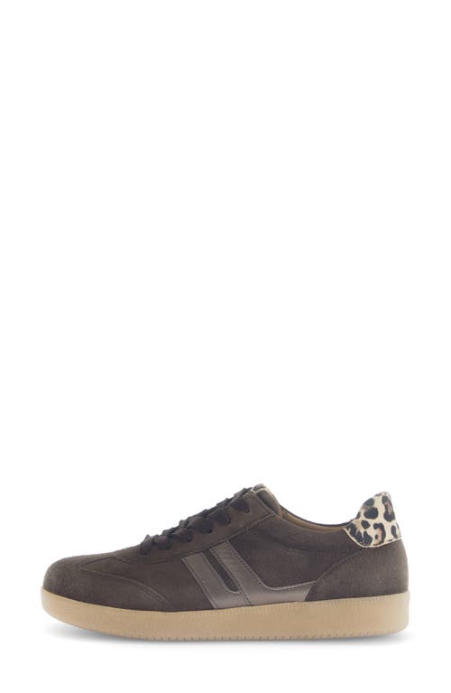 Gabor Sneaker Lh Rfb Bf In Brown