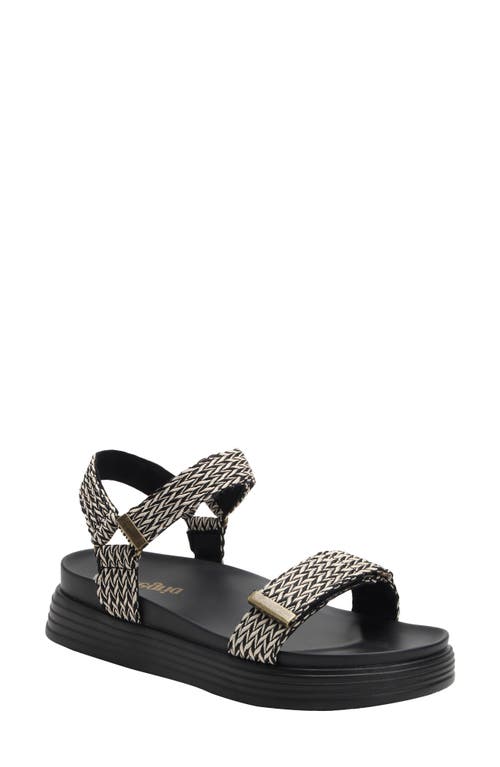 Alegria By Pg Lite Allyson Platform Sandal In Multi