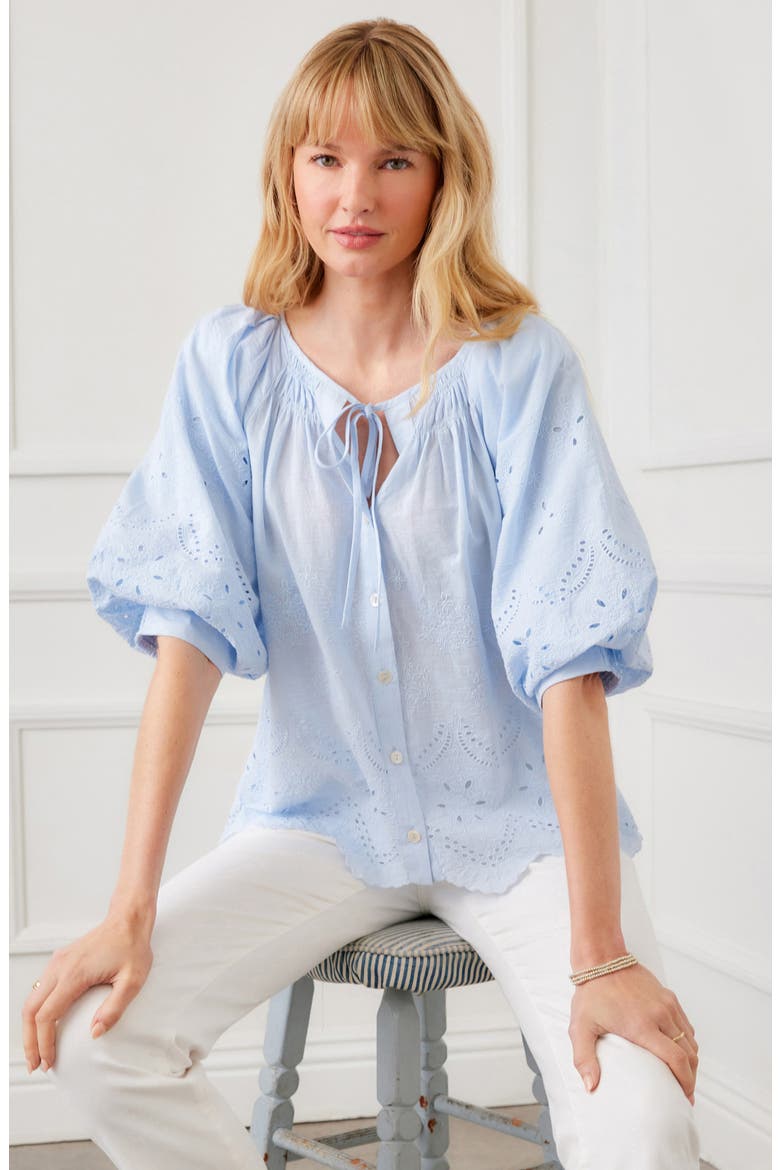 Eyelet Embroidered Cotton Button-Up Top, Alternate, color, BLUE