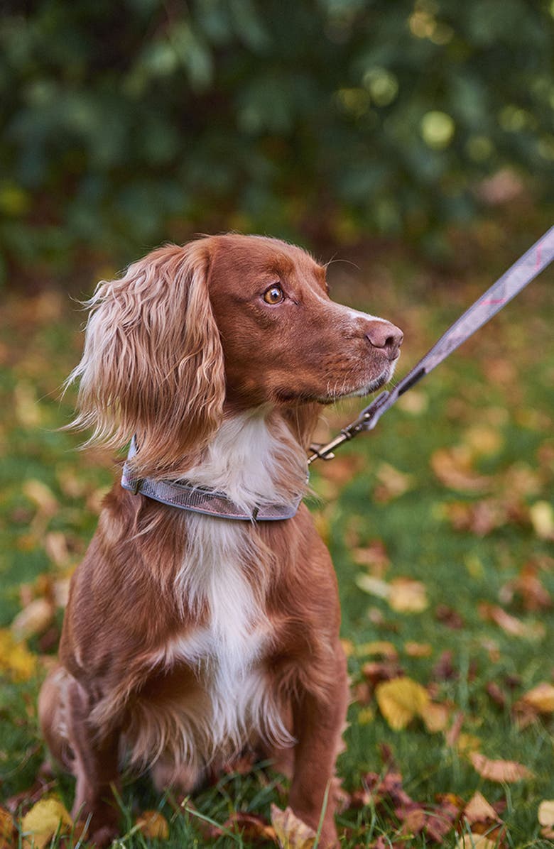 Barbour Reflective Tartan Dog Collar, Alternate, color, 