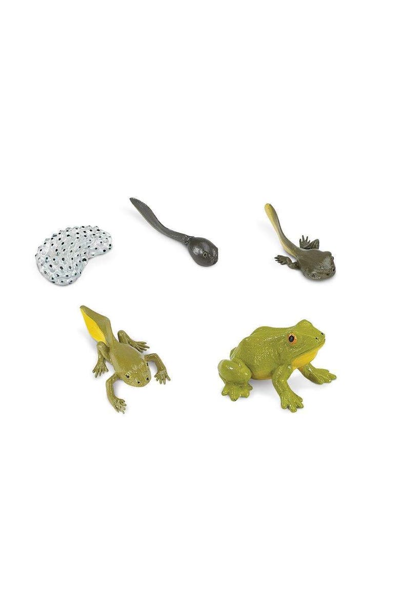Safari Ltd. Life Cycle Of A Frog, Alternate, color, NO COLOR