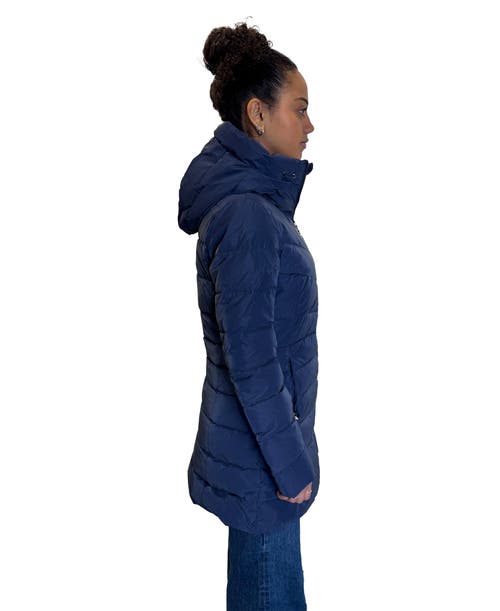 Woodpecker Long Robin Medium Weight Coat In Blue