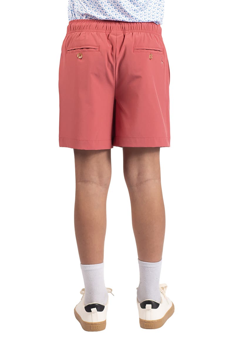 Kids' Drawstring Shorts, Alternate, color, SUNWASHED RED