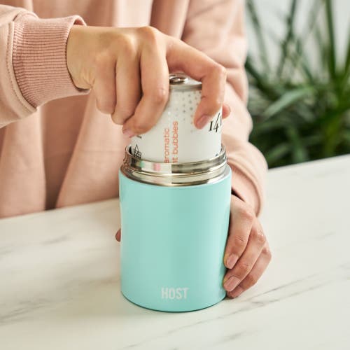 Host Stay-chill Standard Can Cooler In Seaglass