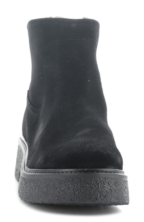 Bos. & Co. Scout Waterproof Winter Bootie In Black