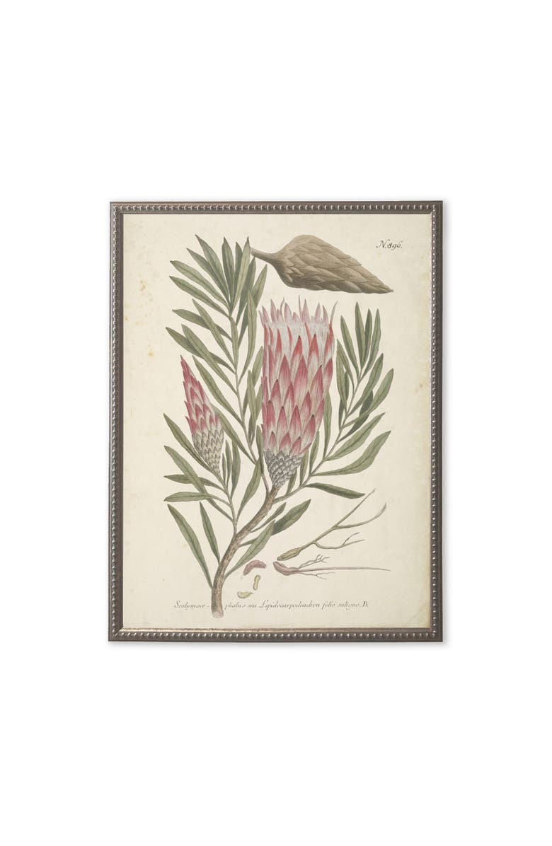 Antique Curiosities Pink Flower in Silver-Beaded Frame, Main, color, Multi