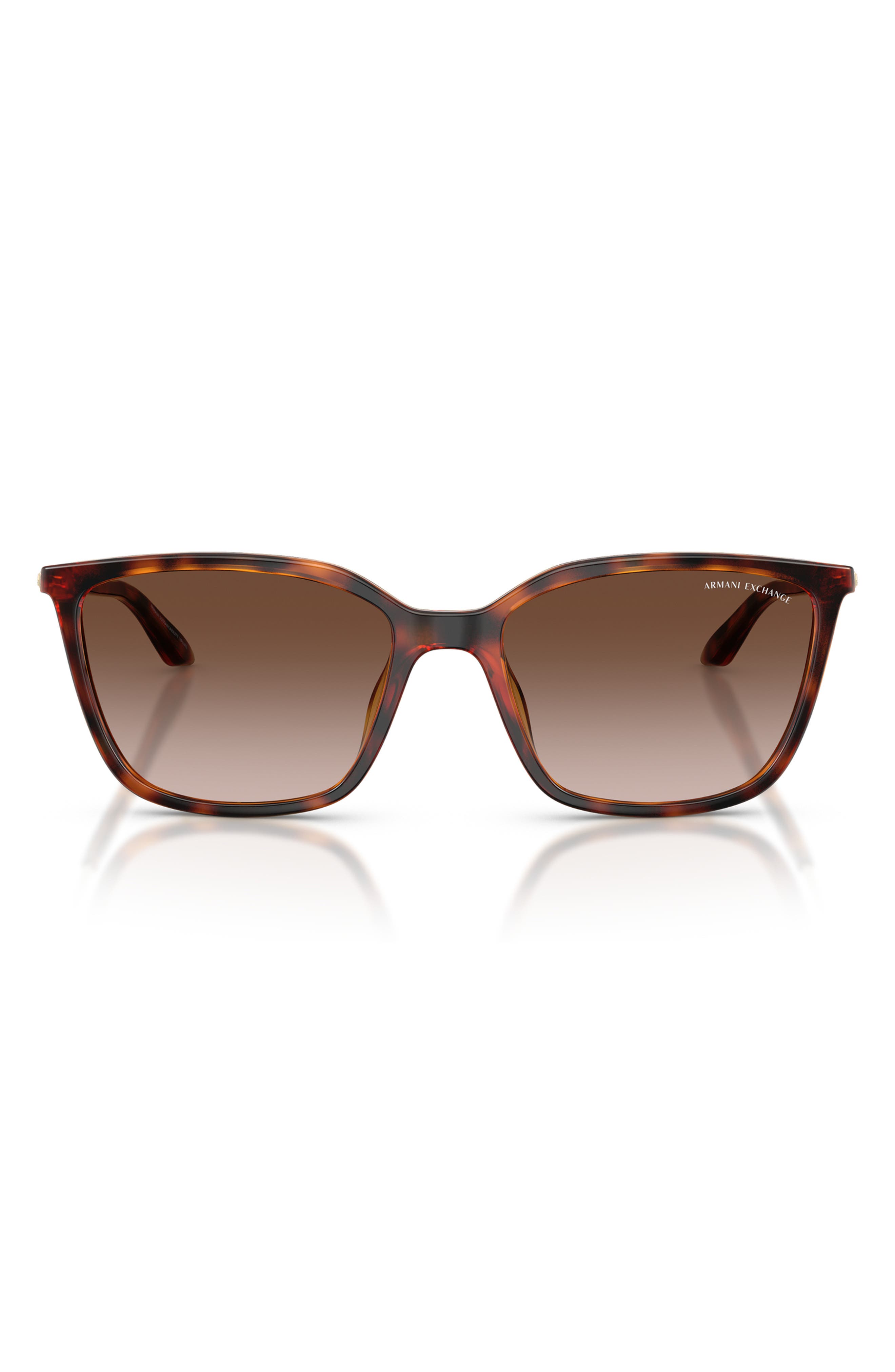 SHINY HAVANA / BROWN GRADIENT