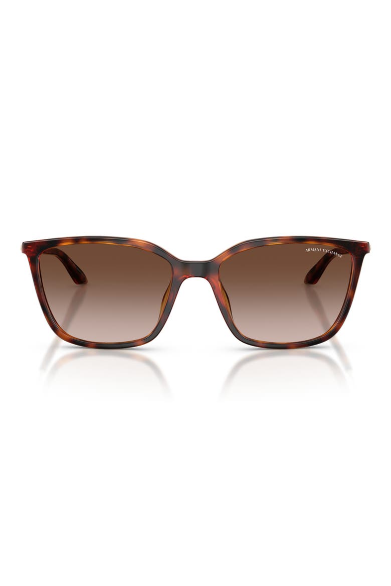 55mm Square Sunglasses, Main, color, SHINY HAVANA / BROWN GRADIENT