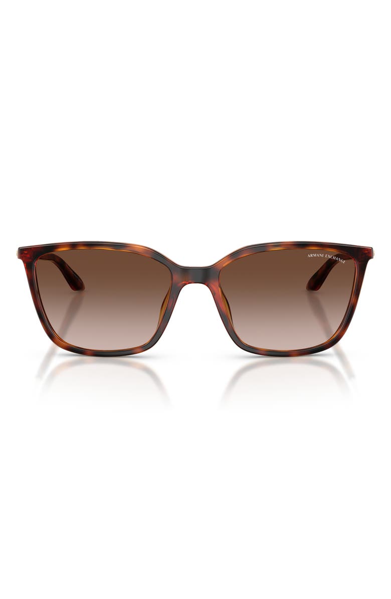 Armani Exchange 55mm Square Sunglasses, Main, color, Shiny Havana / Brown Gradient