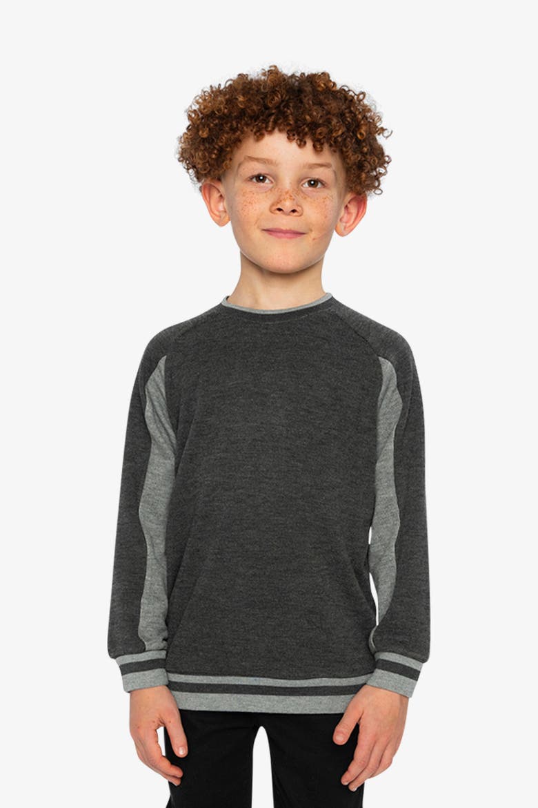 Ribbed Crew Neck Brushed Interior Sweatshirt, Alternate, color, Grey