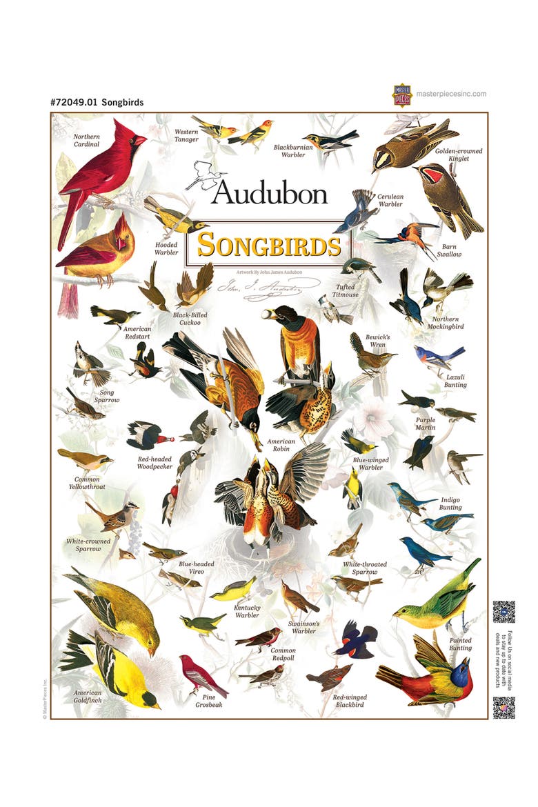 Audubon Songbirds 1000 Piece Puzzle, Alternate, color, Multicolor