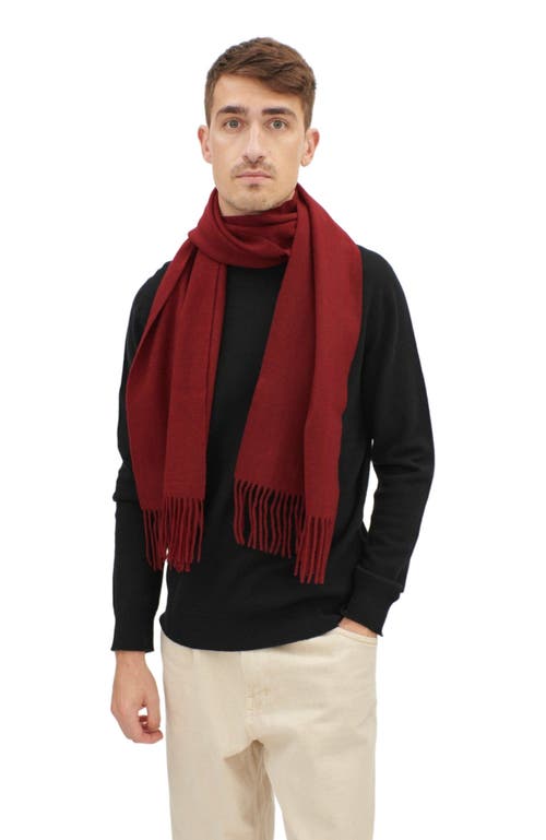 Gobi Mongolian Cashmere Cashmere Fringed Scarf In Bordeaux