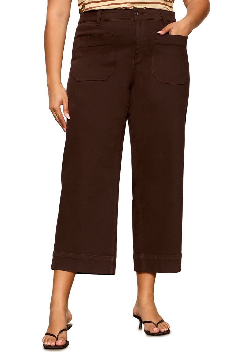The Marine Crop Wide Leg Jeans, Main, color, RICH SOIL BROWN