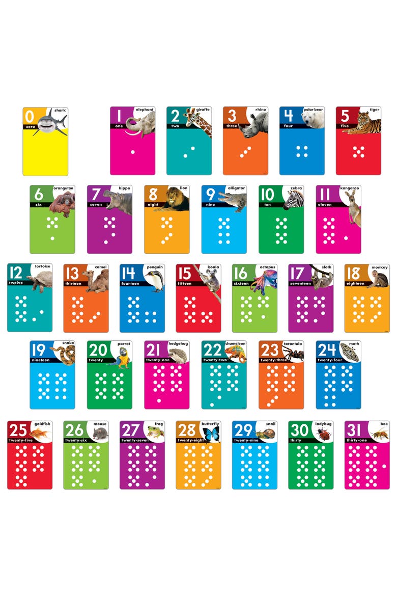 Animals Count 031 Learning Set, Flashcards, Kids, Alternate, color, Multicolored