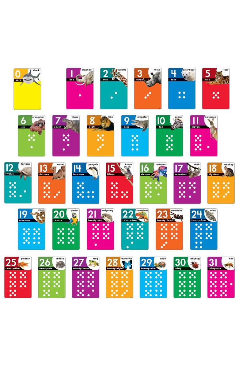 TREND Enterprises Animals Count 031 Learning Set, Flashcards, Kids, Alternate, color, Multicolored