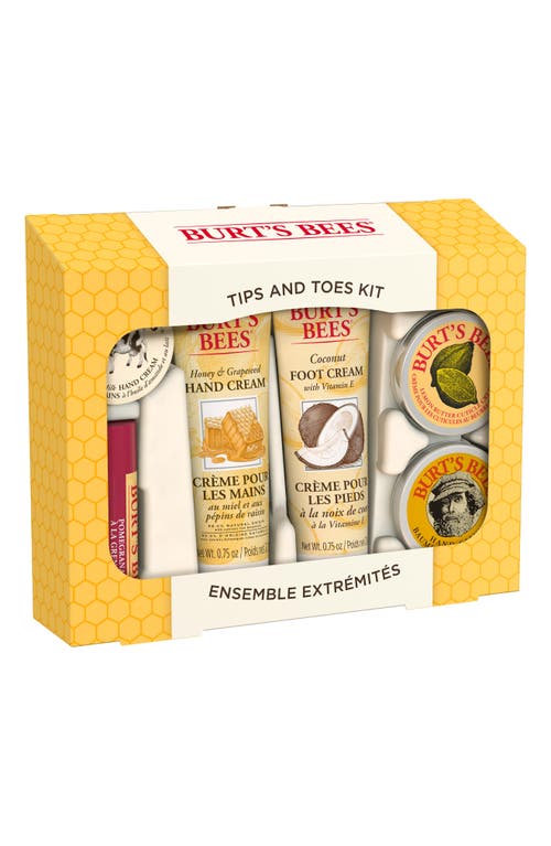 Burt's Bees Tips & Toes Kit In Transparent