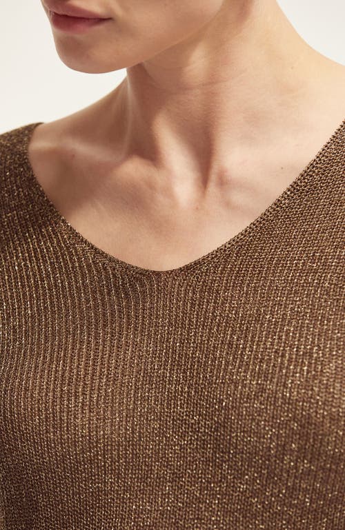 Crescent Lurex Sweater Top In Brown