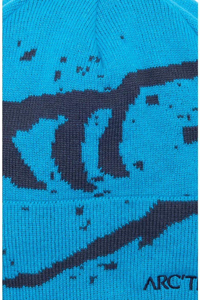 Grotto Toque Beanie, Alternate, color, AQUACULTURE / BLACK SAPPHIRE