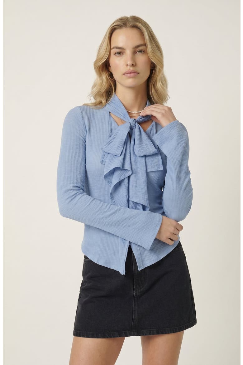 Long Sleeve Tie Front Ruffle Top, Main, color, Blue