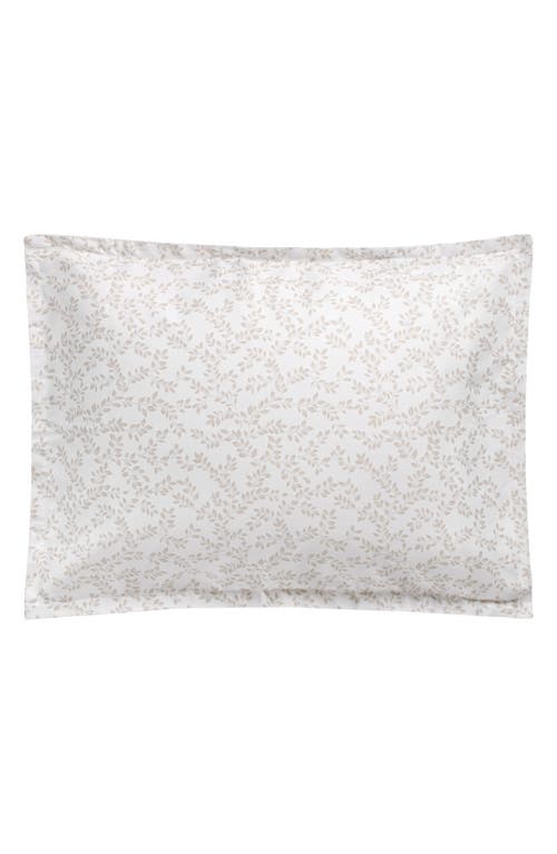 Domani Home Cotton Boudoir Sham In Naya