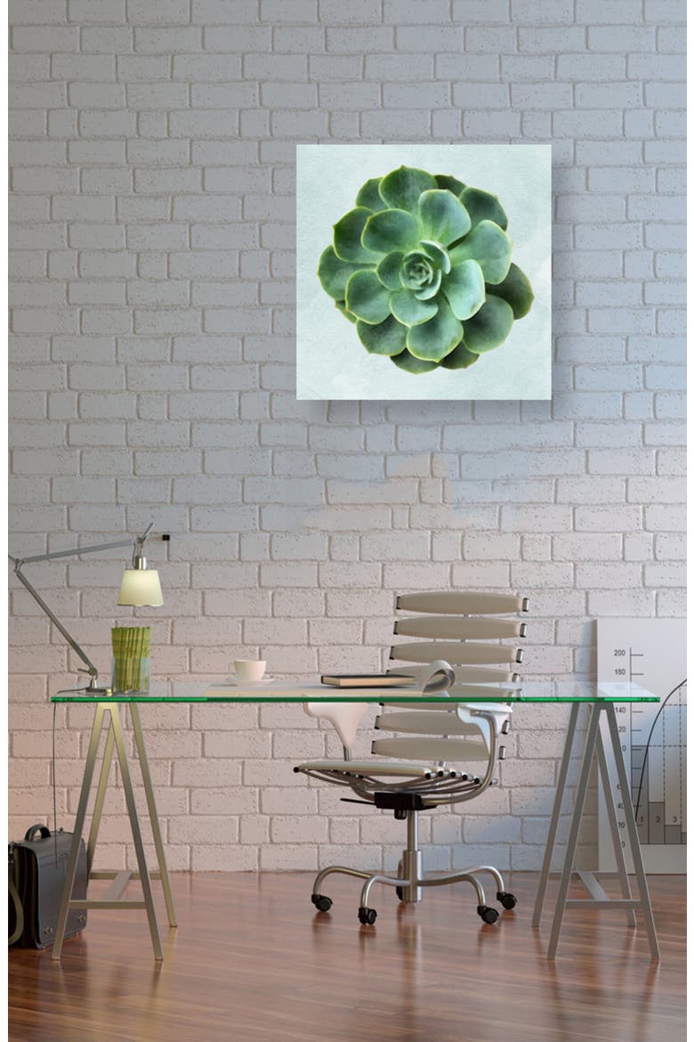 Succulent Dream III Canvas Wall Art, Alternate, color, GREEN