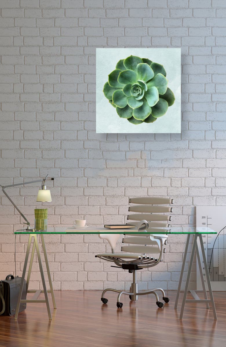 Oliver Gal Succulent Dream III Canvas Wall Art, Alternate, color,