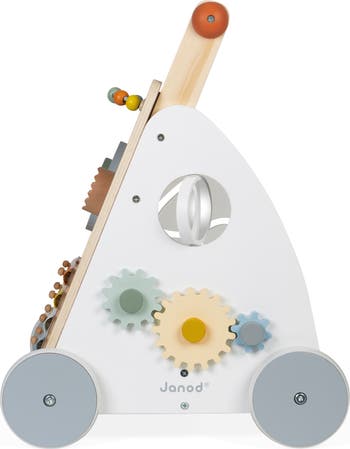 Sweet Cocoon Multi-Activity Walker