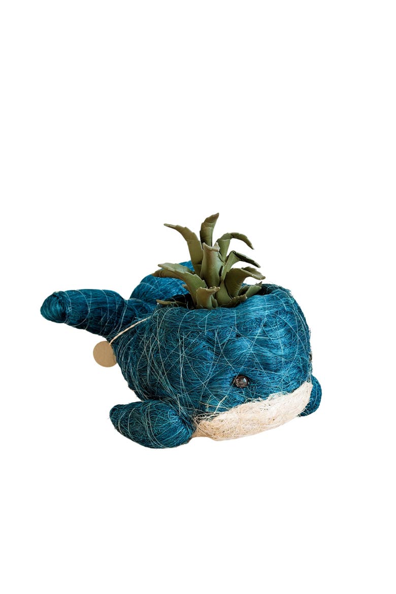 Aquatic Animal Coco Coir Planters, Main, color, Aqua