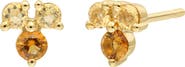 Bony Levy Semiprecous Stone 14K Gold Stud Earrings