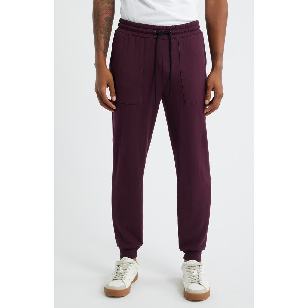 Threads 4 Thought Threads For Thought Pierce Featherweight Joggers In Purple