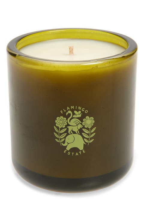 Ancient Agrigento Olive Tree Candle
