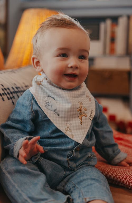 Copper Pearl Hundred Acre Wood Assorted 4-pack Bandana Bibs In White