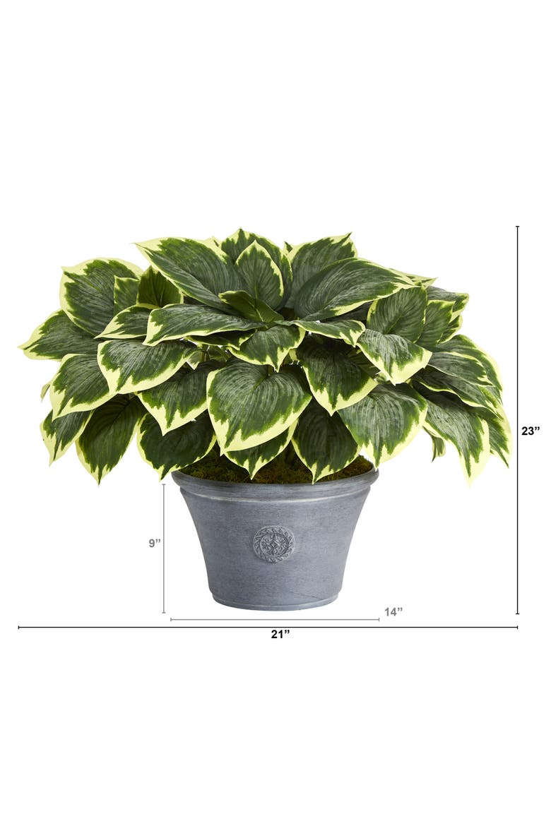 23-in Variegated Hosta Artificial Plant in Gray Planter, Alternate, color, Green