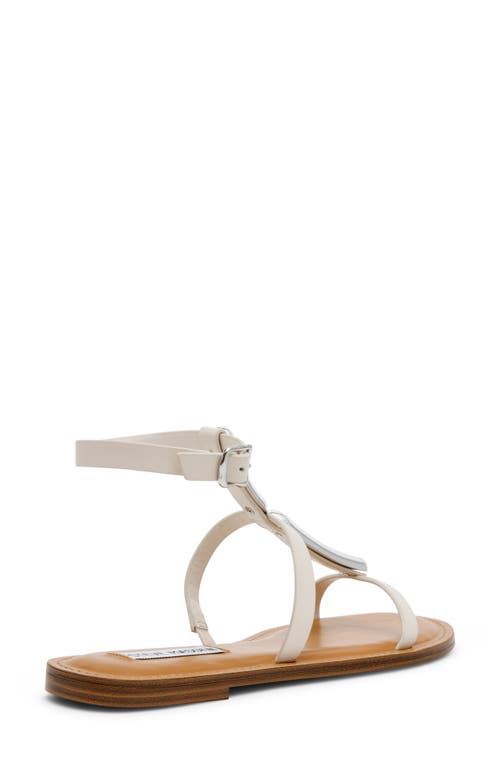 Steve Madden Alma Gladiator Sandal In Bone Leather